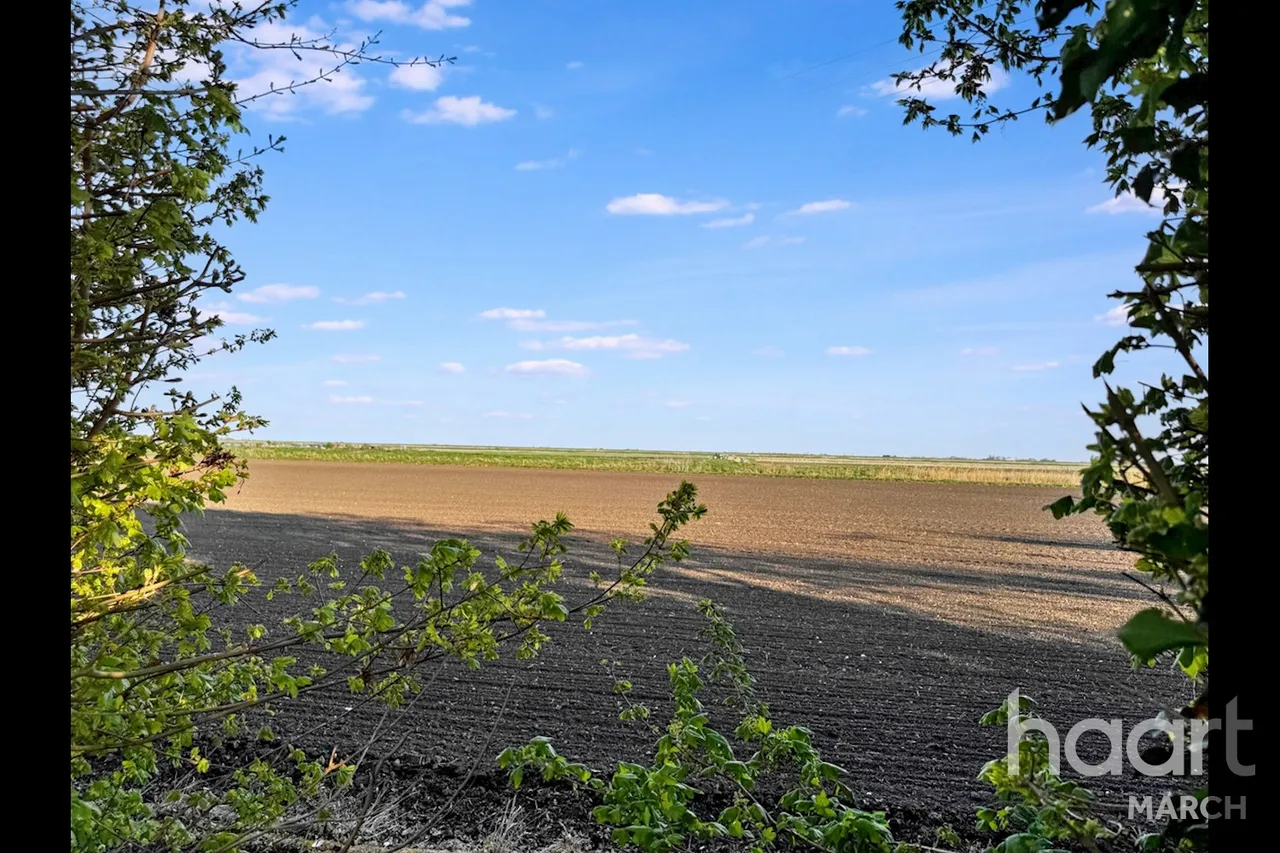 Fallow Corner Drove, Manea, PE15, photo 16
