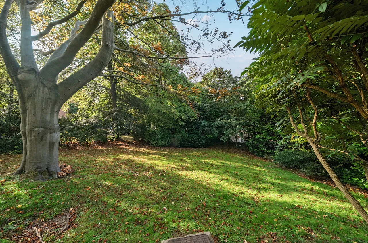 Cardigan Road, Headingley, LS6, photo 19