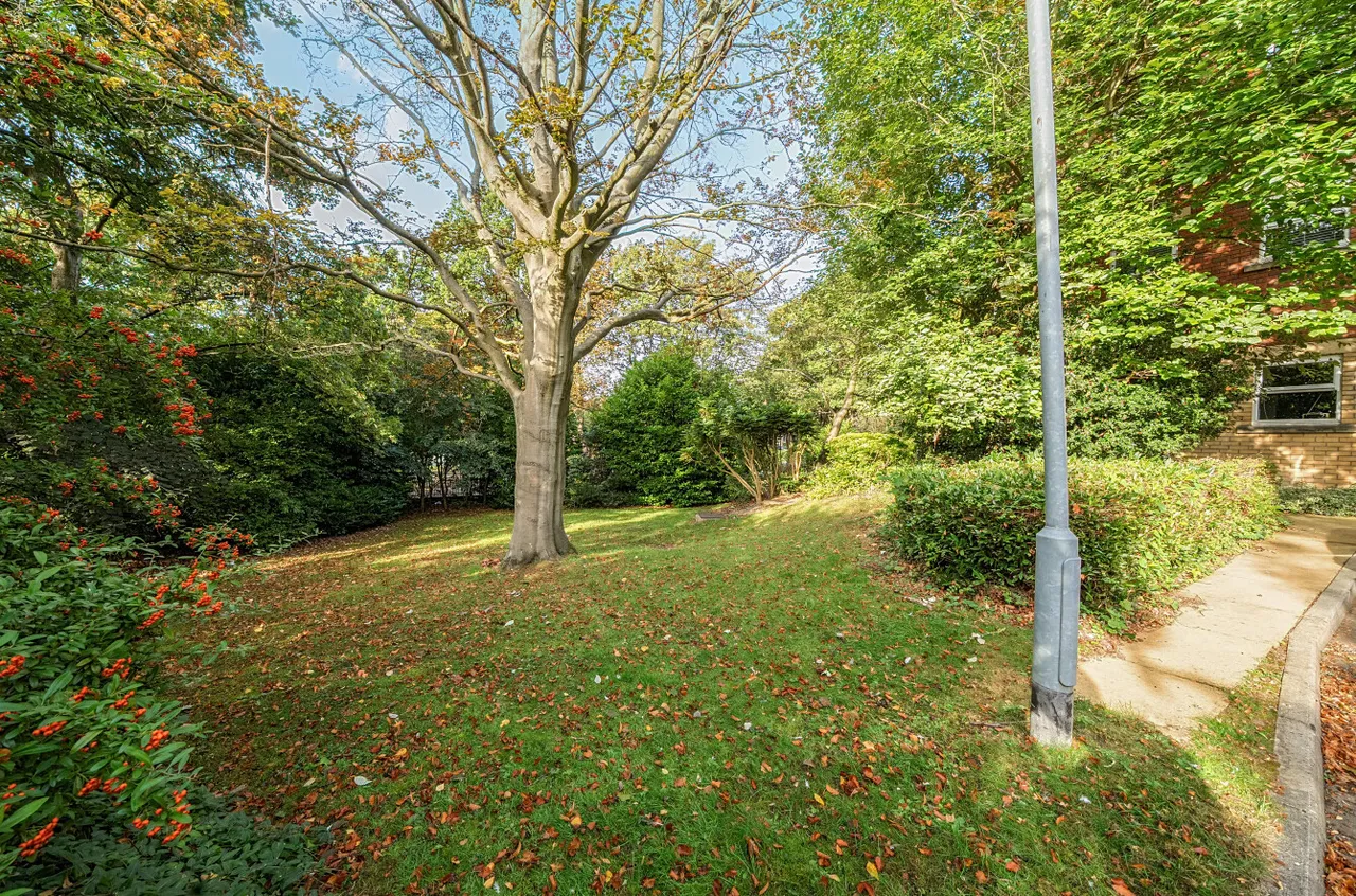 Cardigan Road, Headingley, LS6, photo 20