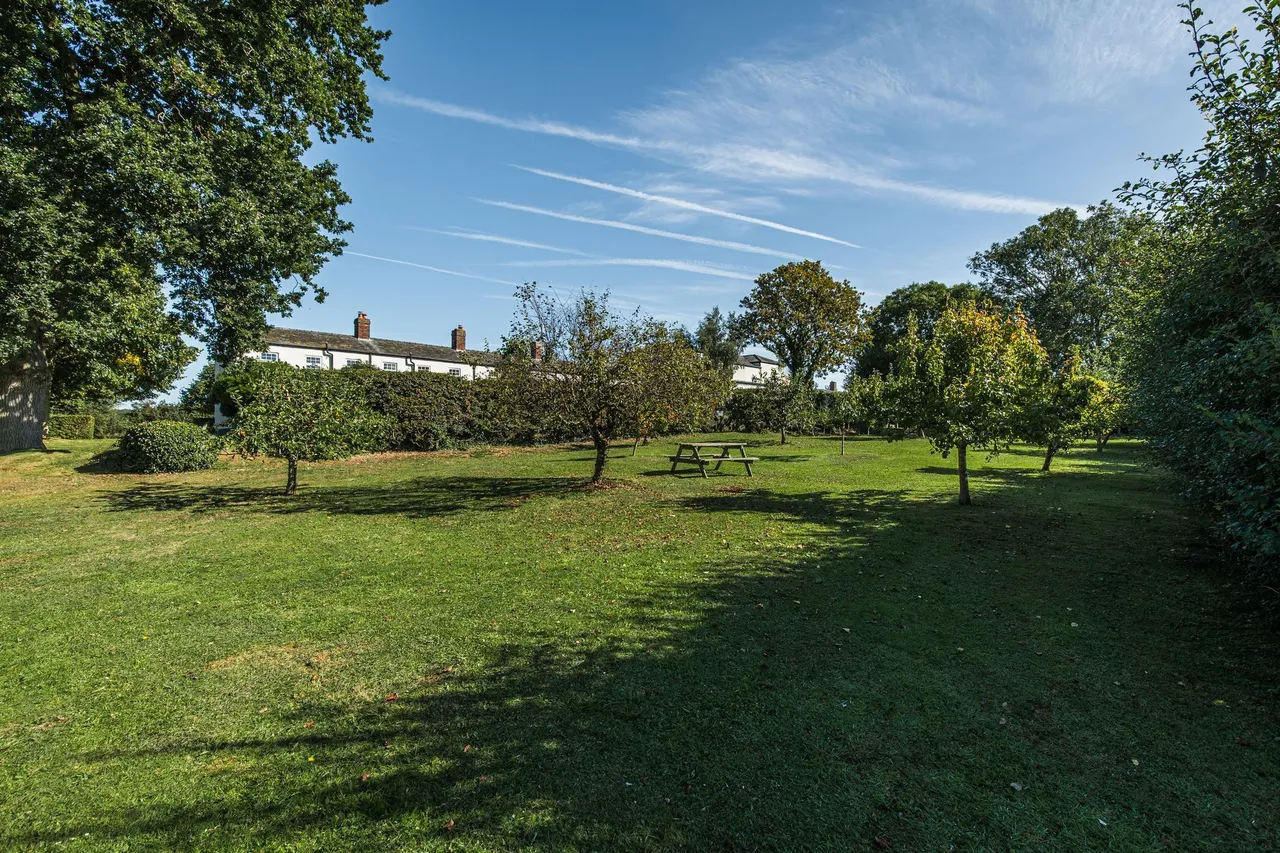 Smart and Ready-To-Use Bolt Hole Apar, photo 8