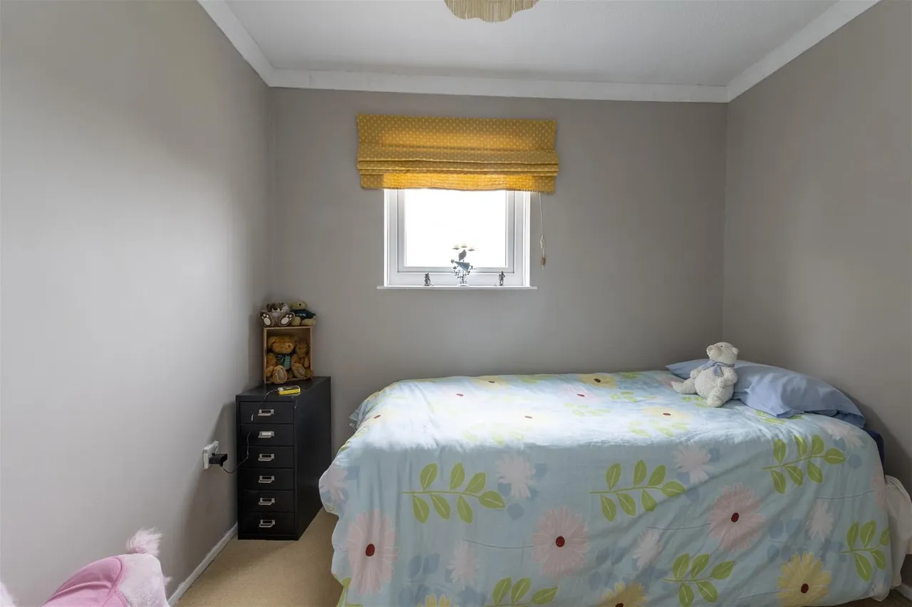 Filbridge Rise, Sturminster Newton DT10 1BP, photo 16