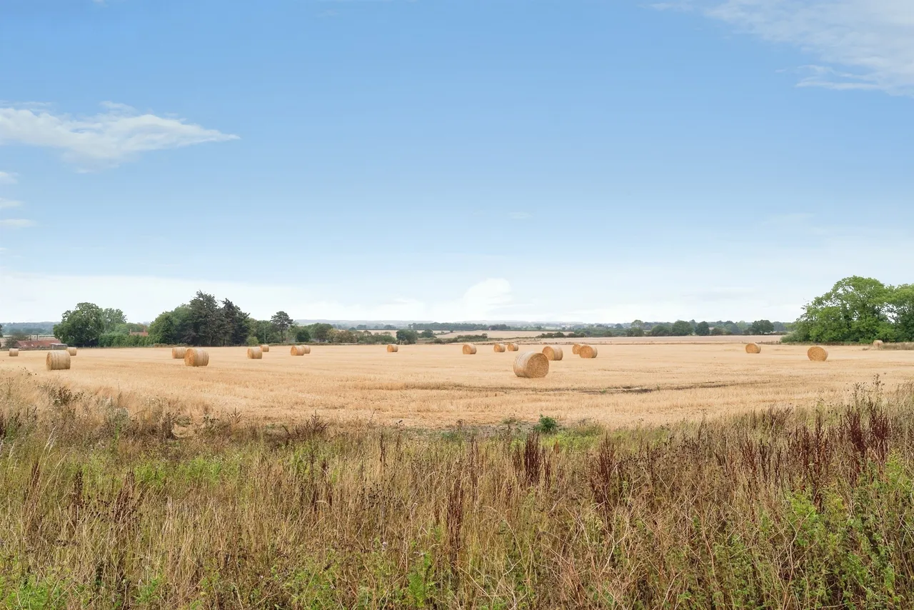 Conference Way, Colkirk, NR21, photo 23