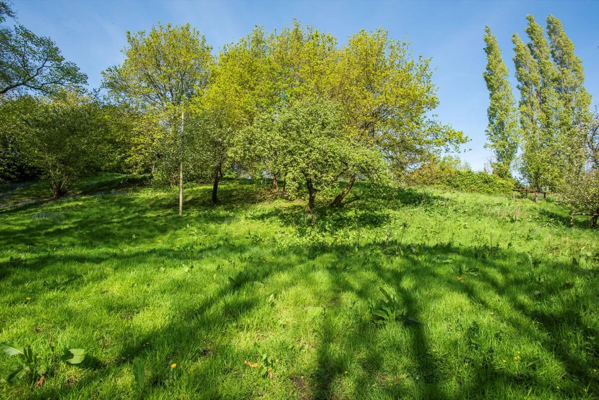 Combe St. Nicholas, Chard, TA20, photo 25