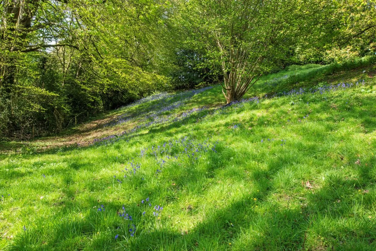 Combe St. Nicholas, Chard, TA20, photo 26