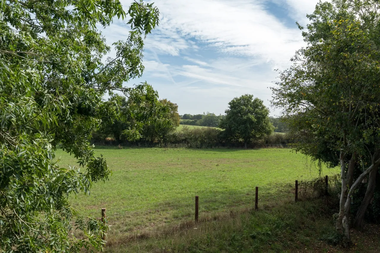 Bourne Road, West Bergholt, CO6, photo 6