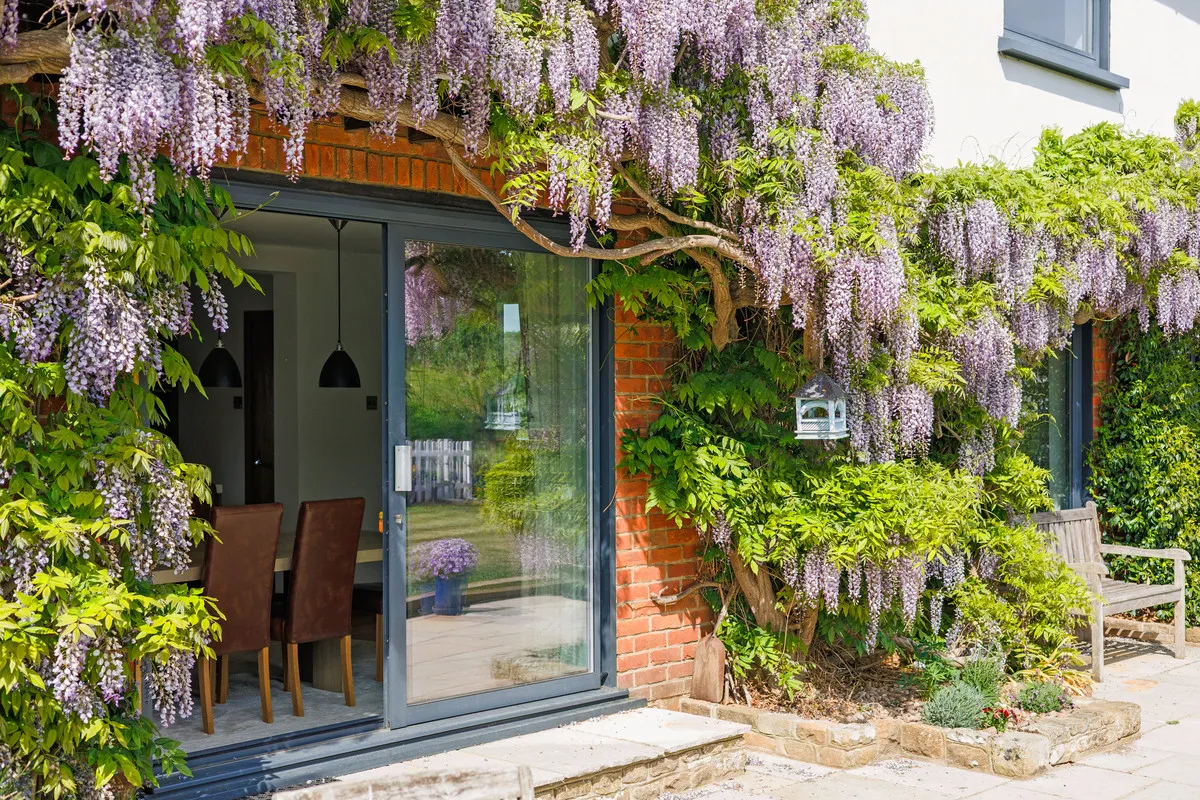 Highfield Lane, Thursley, GU8, photo 38