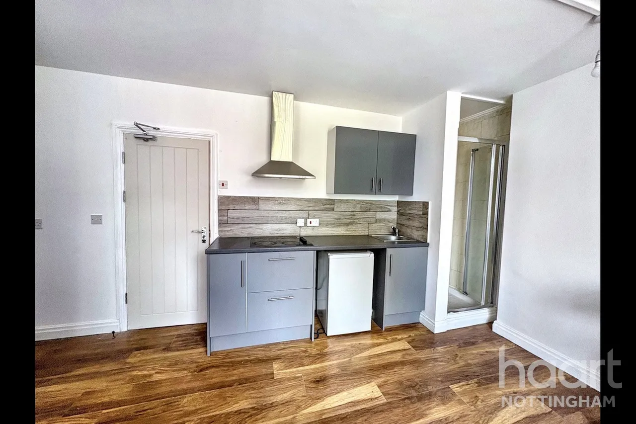 Bobbers Mill Road, Nottingham, NG7, photo 7