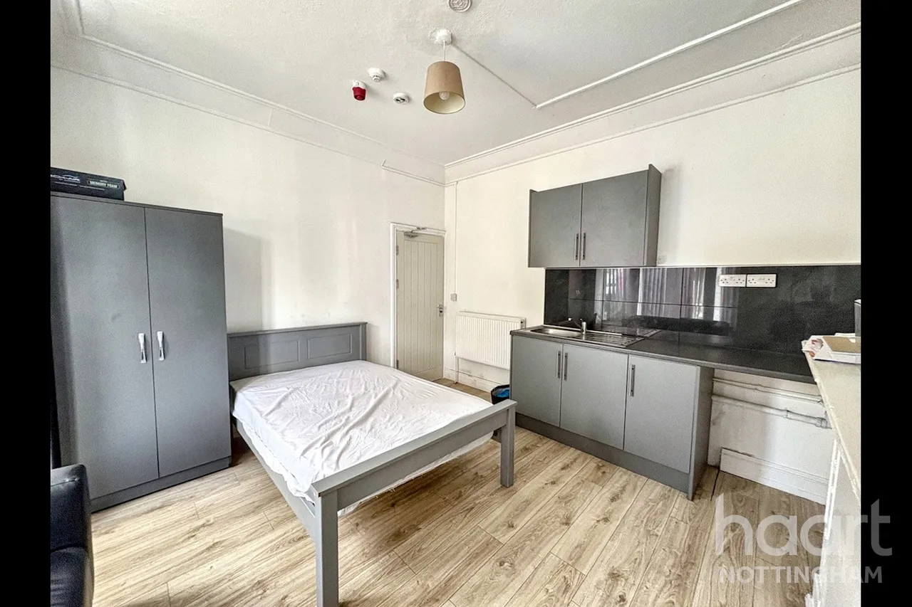 Bobbers Mill Road, Nottingham, NG7, photo 13