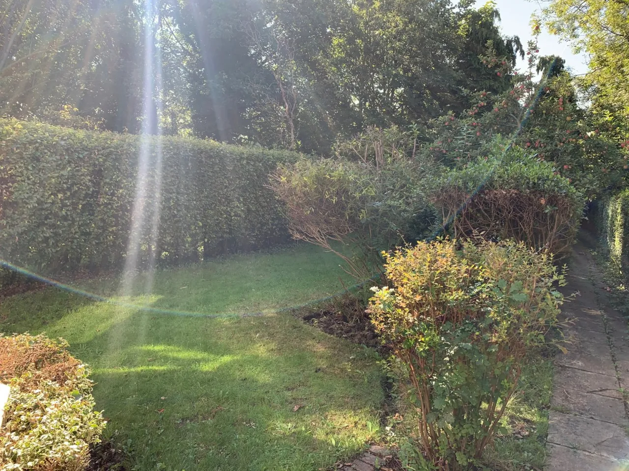 Buckingham Drive, Headingley, LS6, photo 17