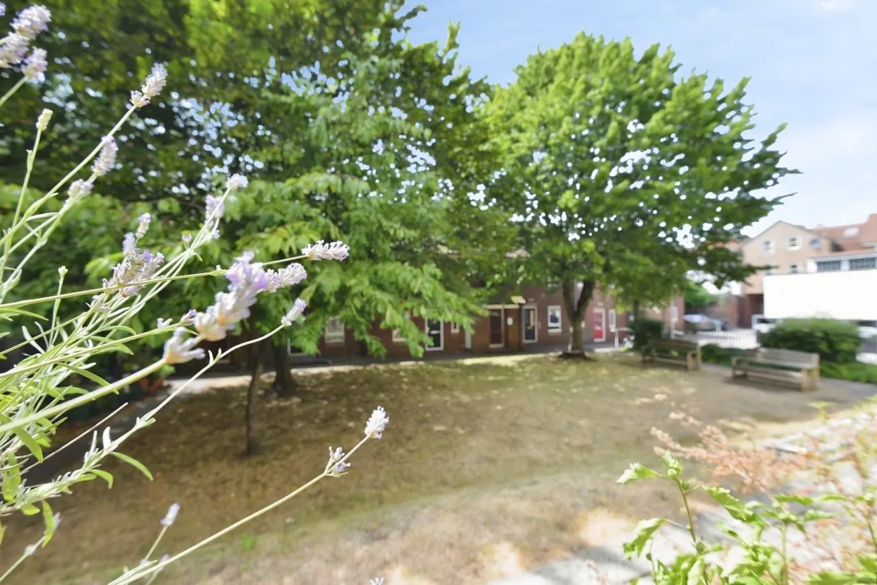 Wilder Street, Bristol, BS2, photo 16