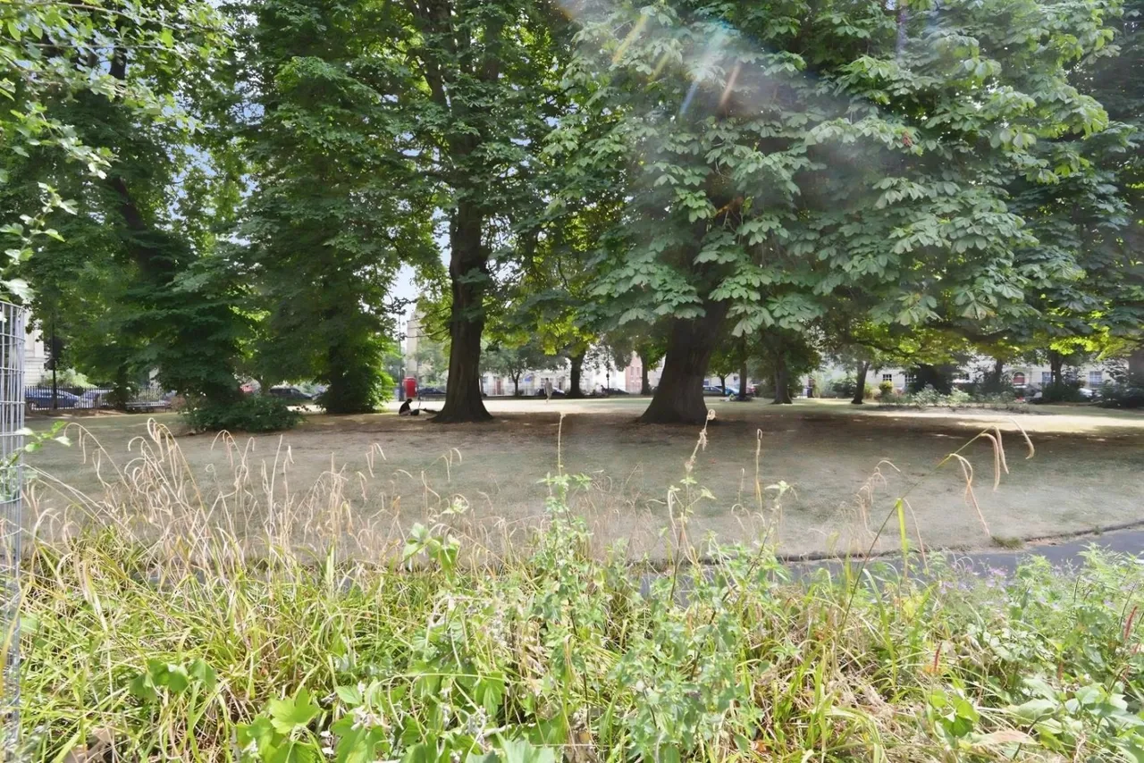 Wilder Street, Bristol, BS2, photo 19