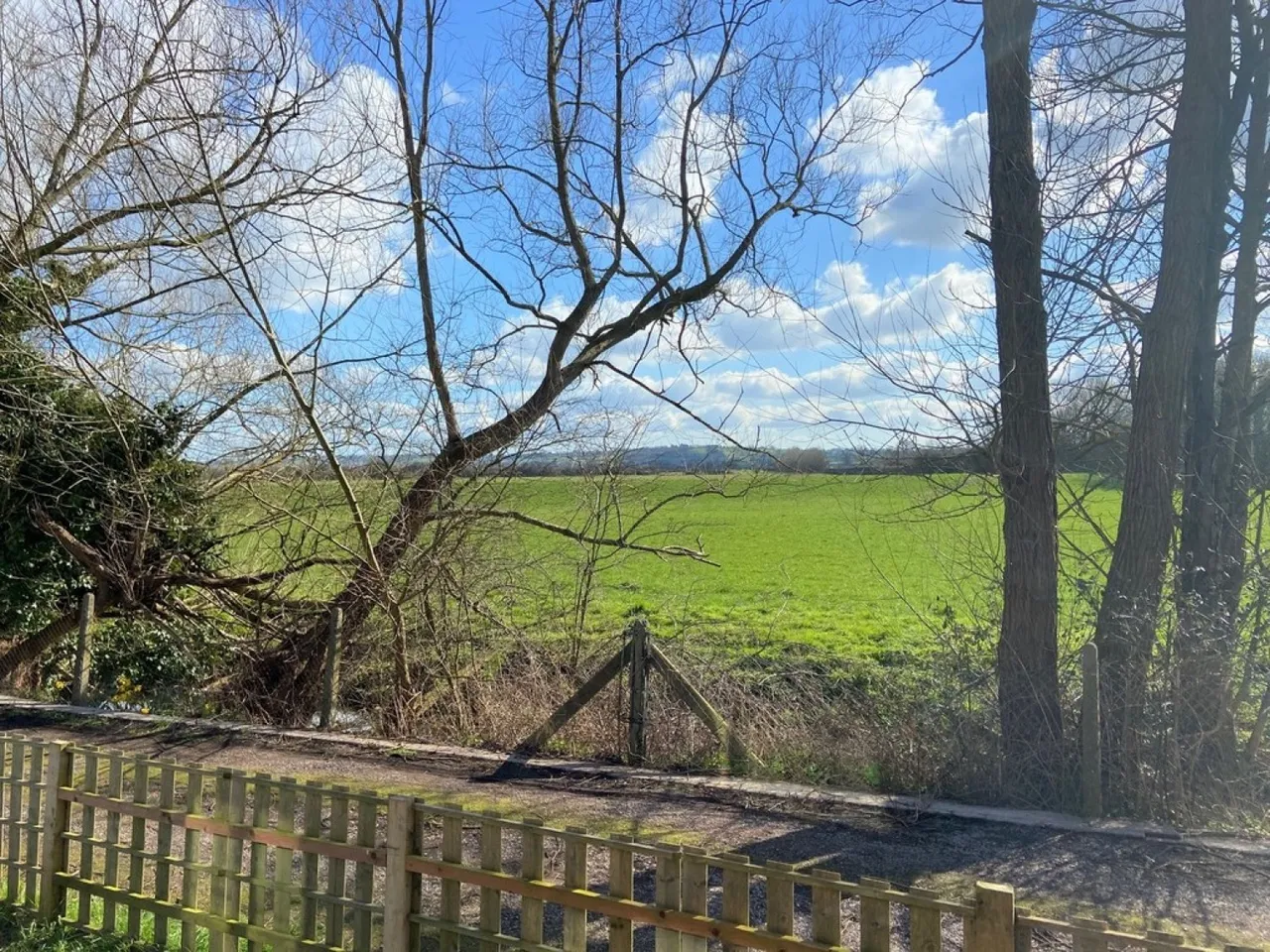 Lyster Gardens, Ilchester, BA22, photo 6