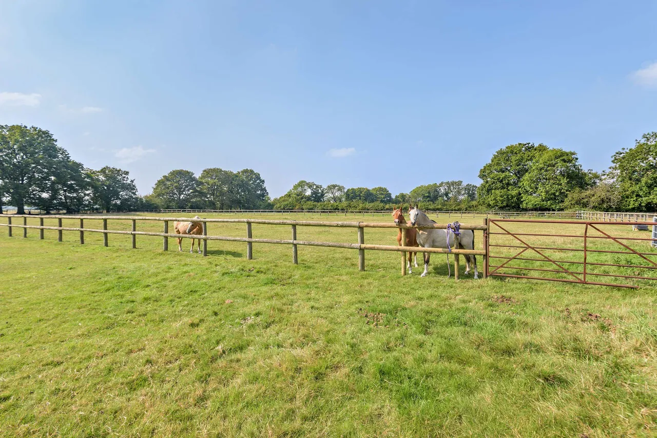 Reading Road, Mattingley, RG27, photo 20