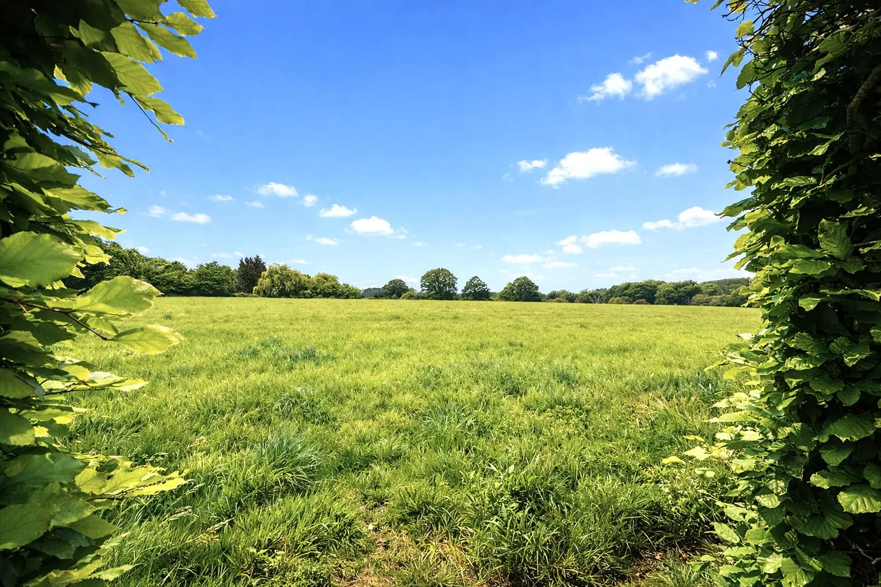 Goddards Close, Sherfield-on-Loddon, Hook, Hampshire, RG27 0EG, photo 15