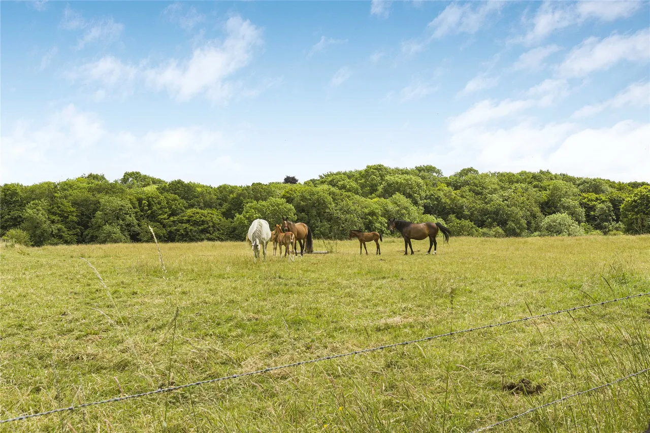 Holmer Ridings, Holmer Green, photo 20