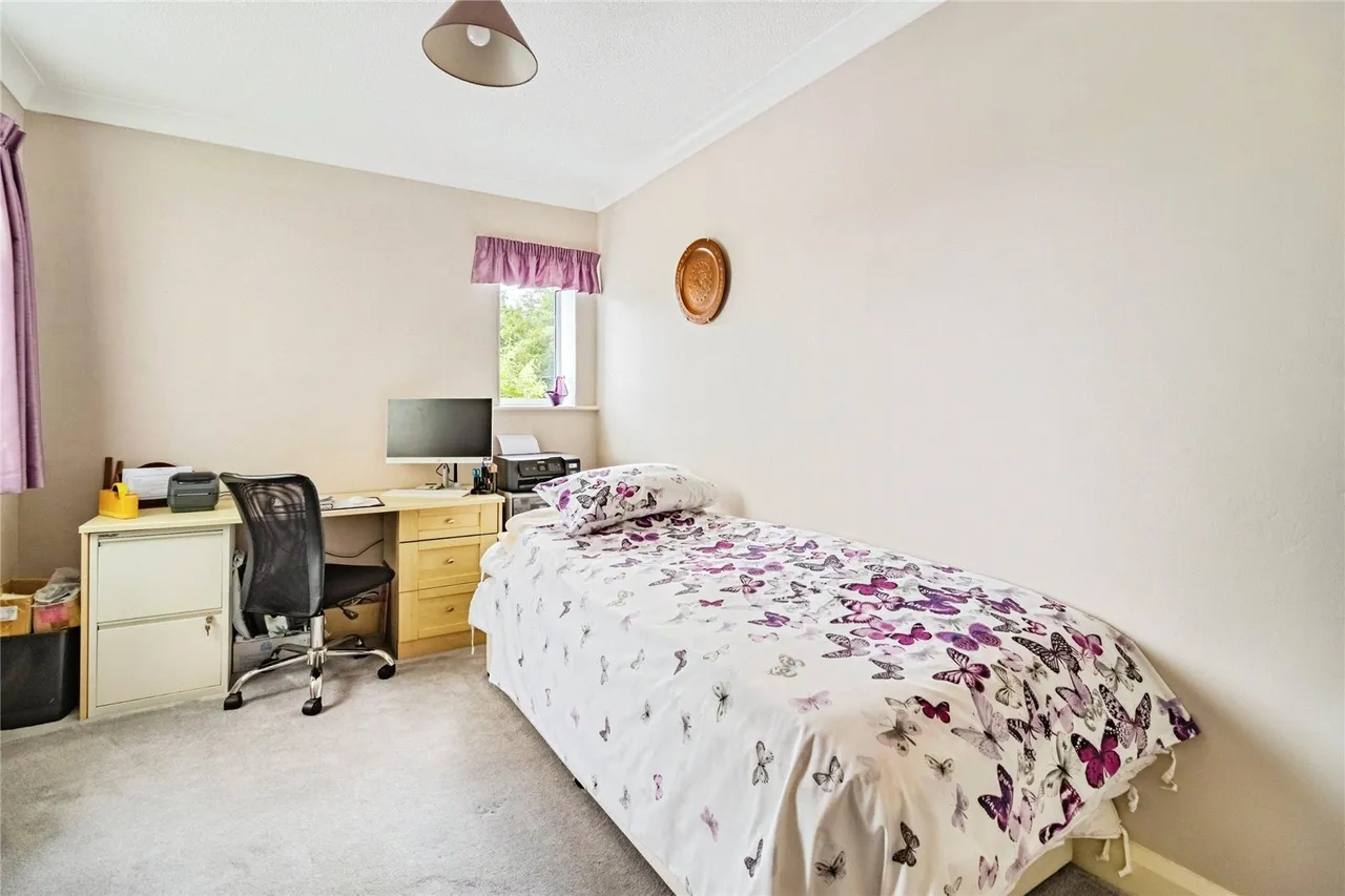 Longstone Road, Paignton, TQ4, photo 14