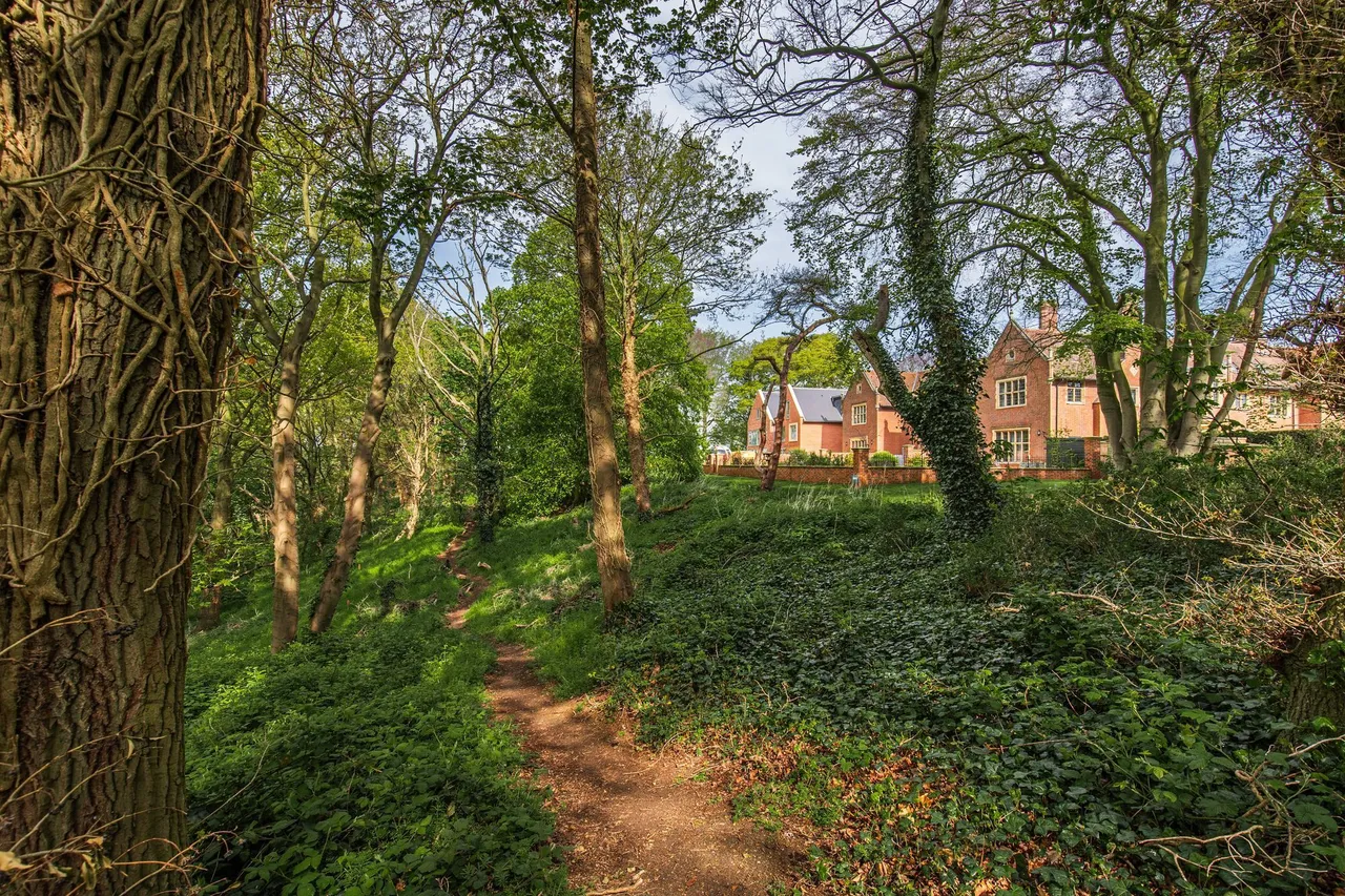 Top Floor Apartment in Drayton, photo 18