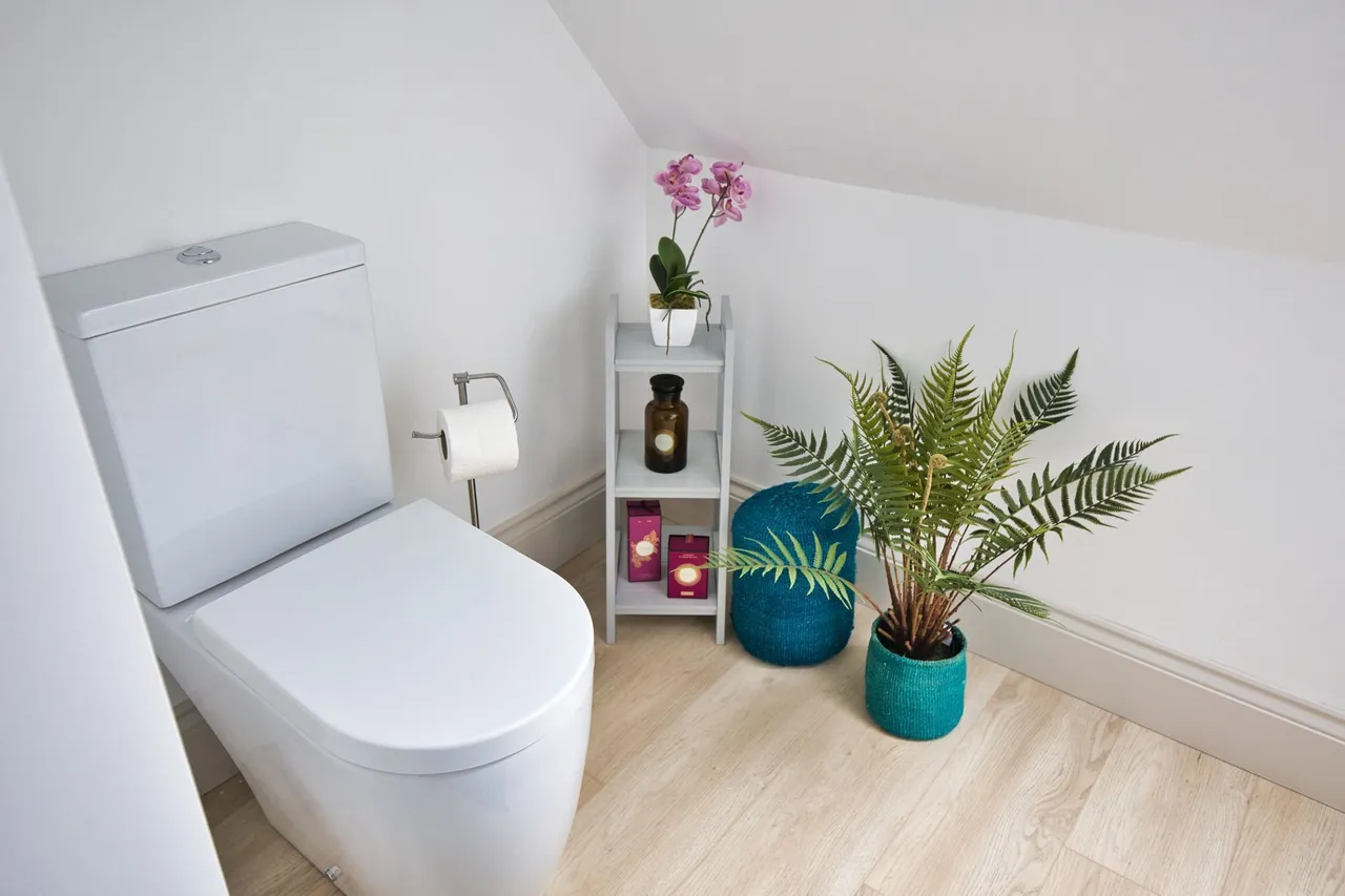 Top Floor Apartment in Drayton, photo 12