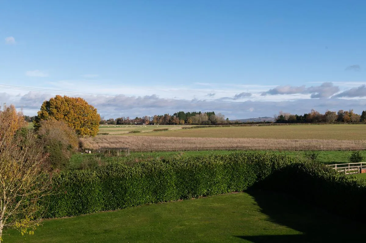 Shenstone, Kidderminster, DY10, photo 30