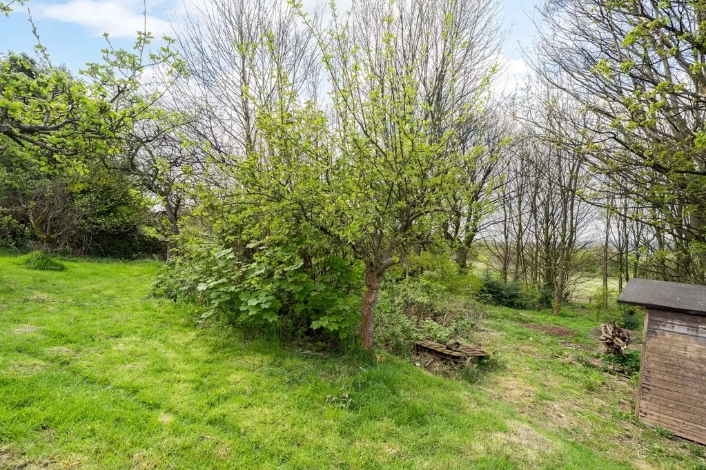 Hillcrest Avenue, Batley WF17 7HW, photo 22