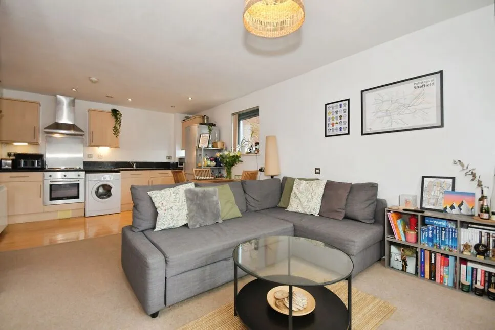 Adelaide Lane, Sheffield, S3, photo 6