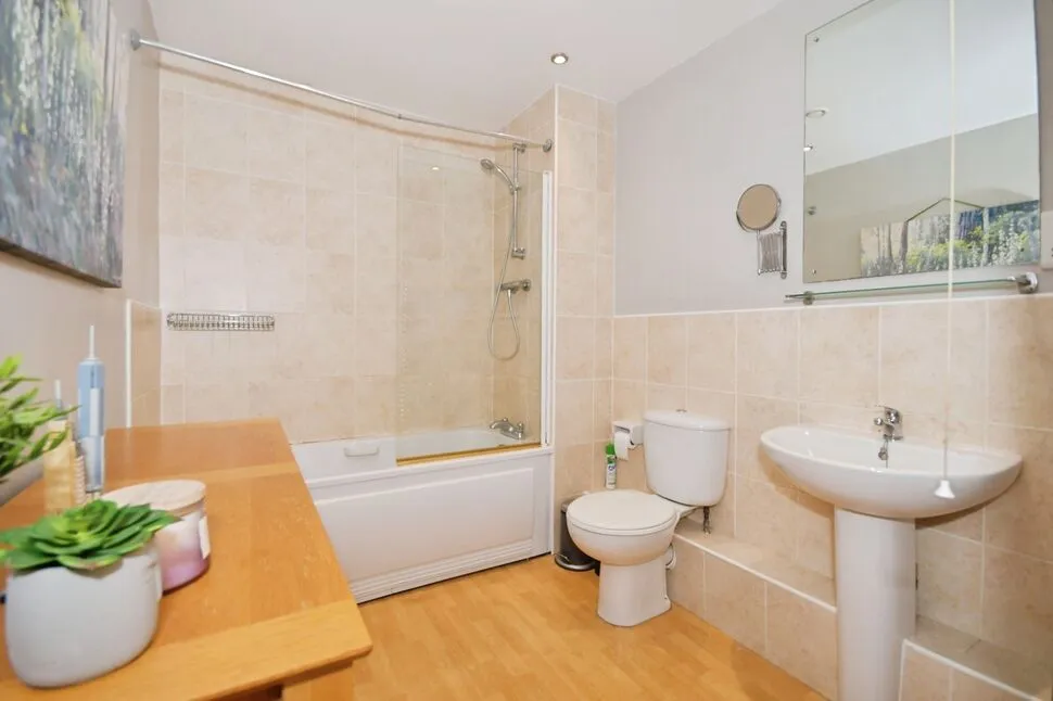 Adelaide Lane, Sheffield, S3, photo 12
