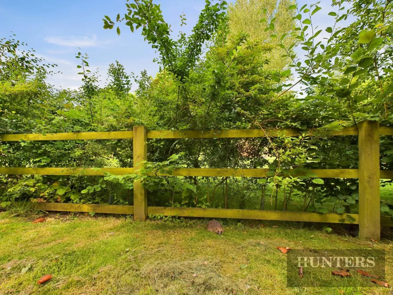 Hackness Road, Scalby, YO13, photo 24