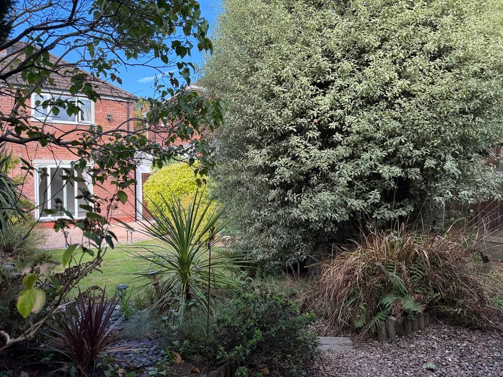 Rodlington Avenue, Great Barr, B44, photo 19