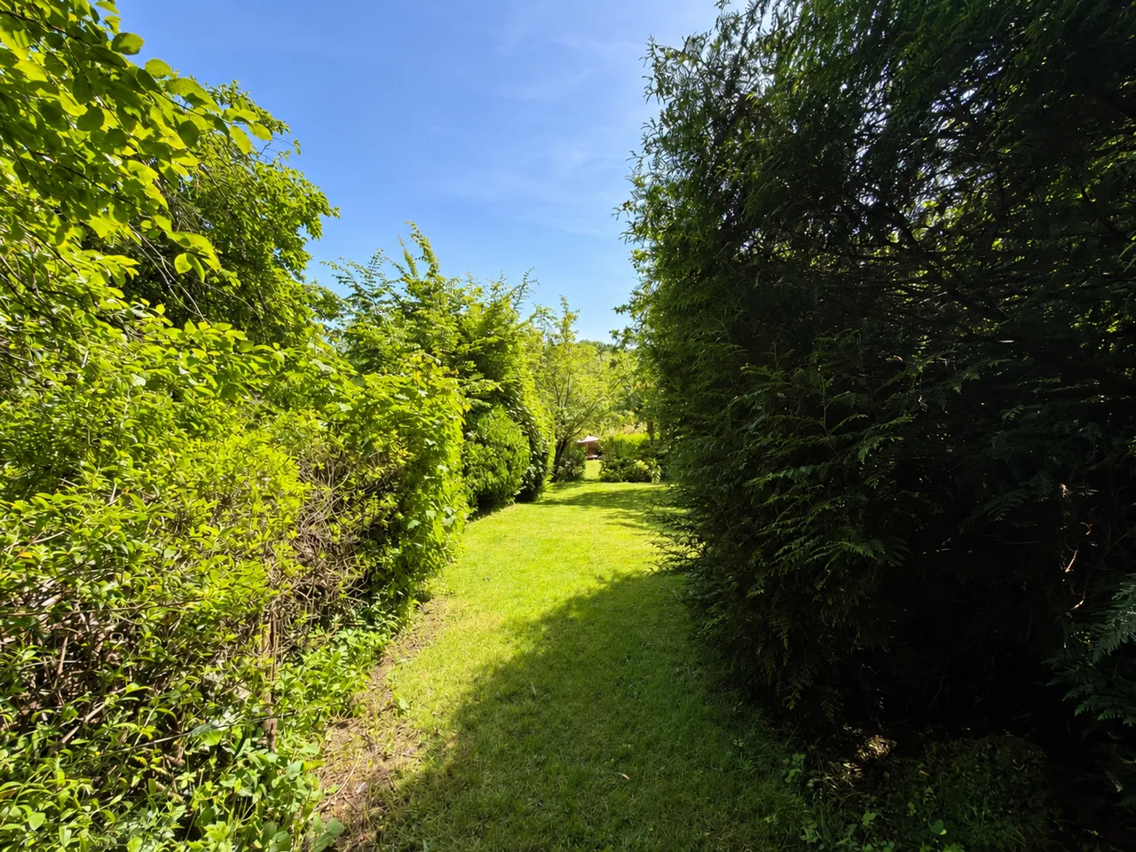 Coalport Road, Madeley, TF7, photo 39