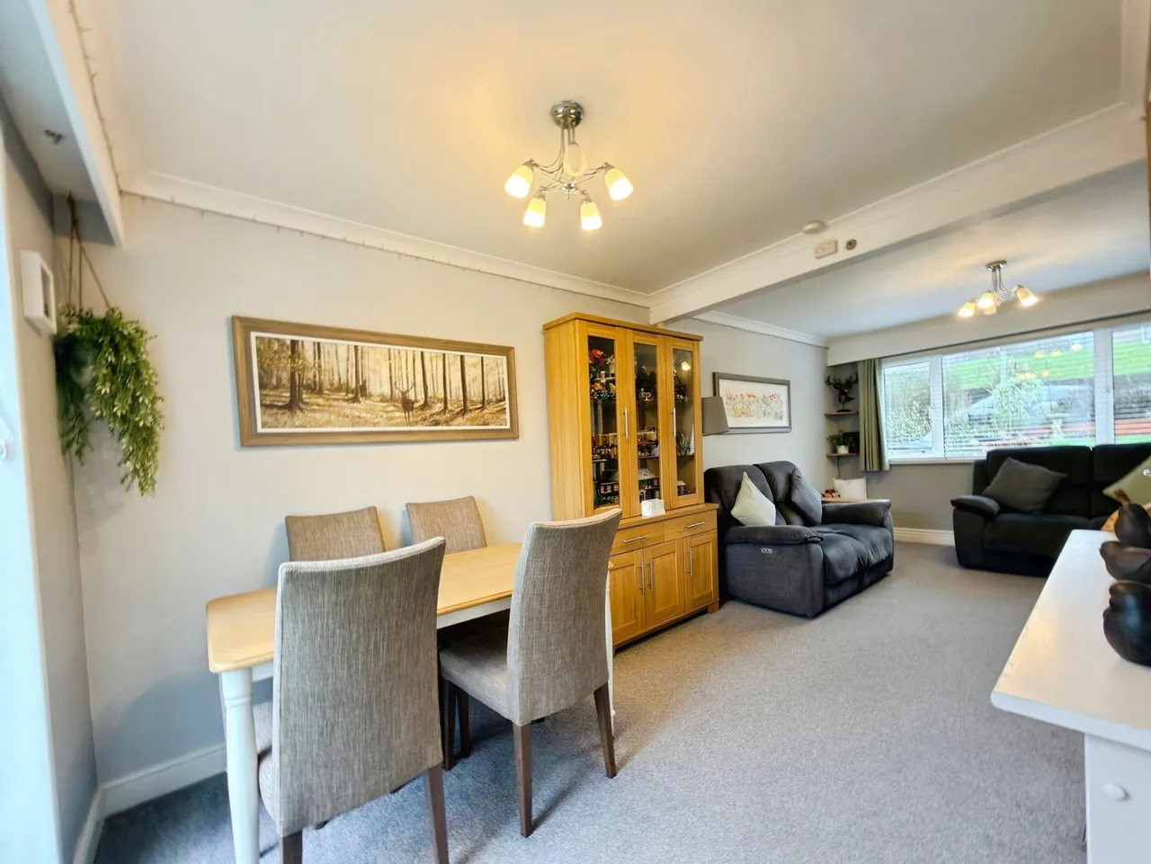Sycamore Close, Exeter, EX1, photo 5
