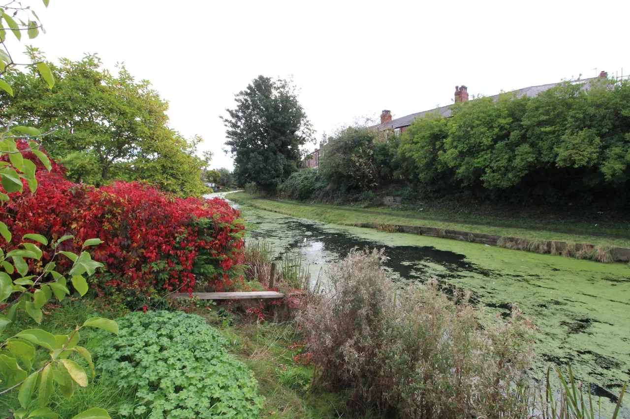 Shelley Road, Preston, PR2, photo 2