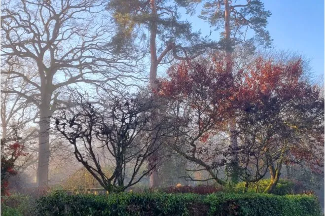 Stockcross, Newbury, RG20, photo 30
