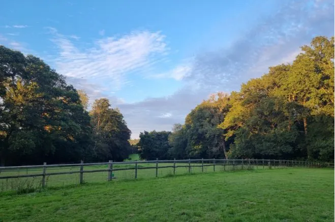Stockcross, Newbury, RG20, photo 28