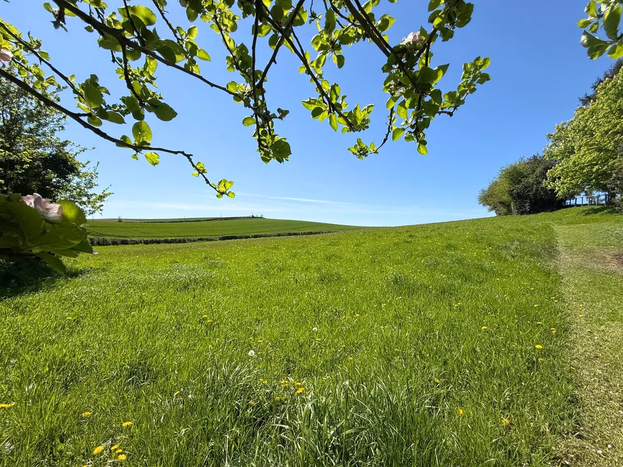Tregare, Raglan, NP15, photo 17