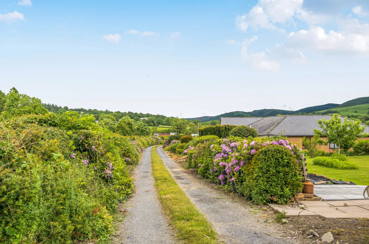 Carno, Caersws, photo 17