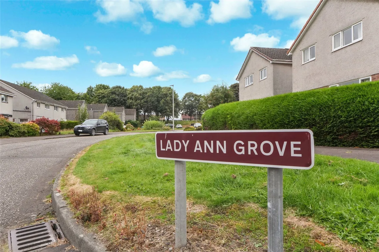 Lady Ann Grove, Tillicoultry, Clackmannanshire, FK13, photo 19