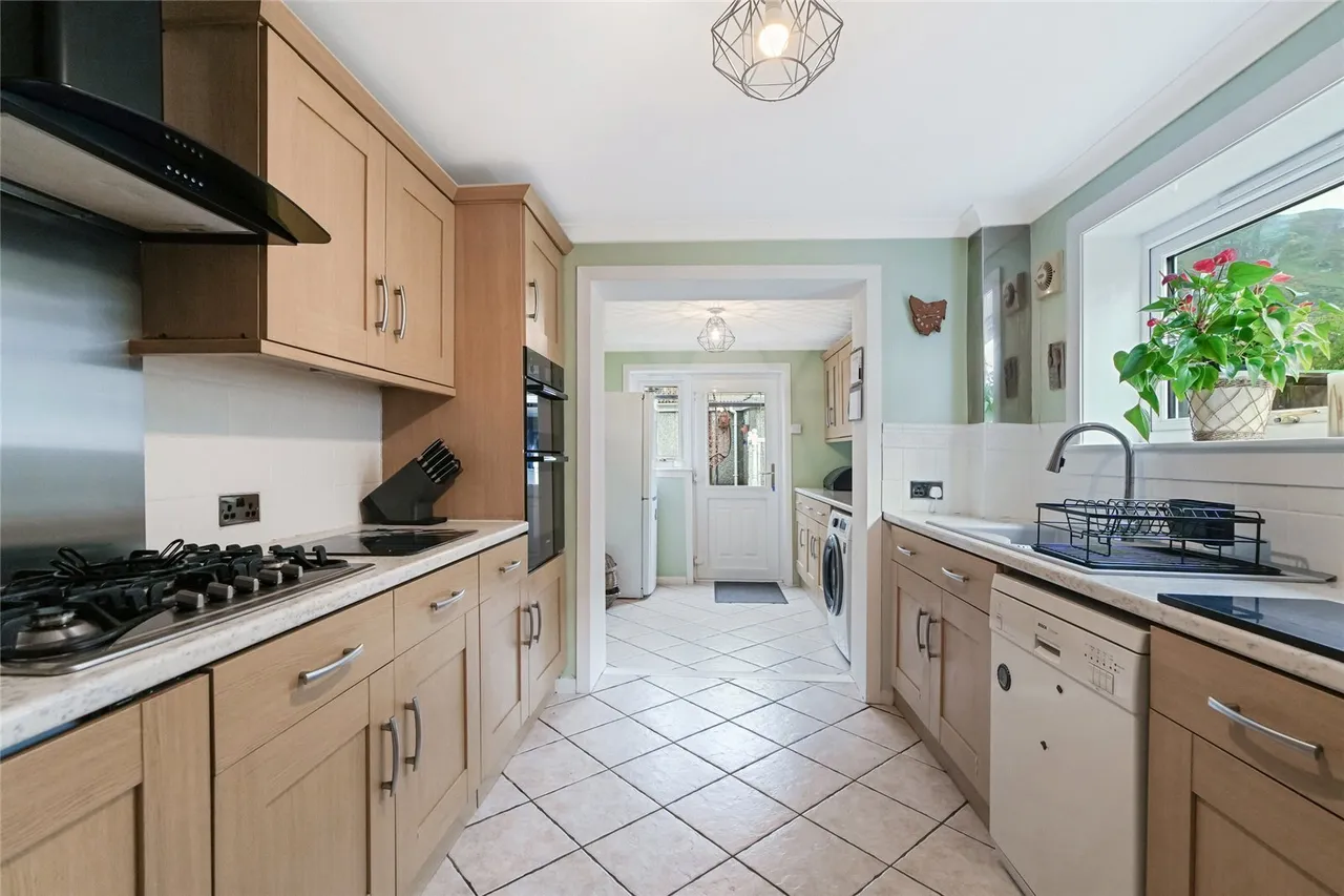 Lady Ann Grove, Tillicoultry, Clackmannanshire, FK13, photo 6