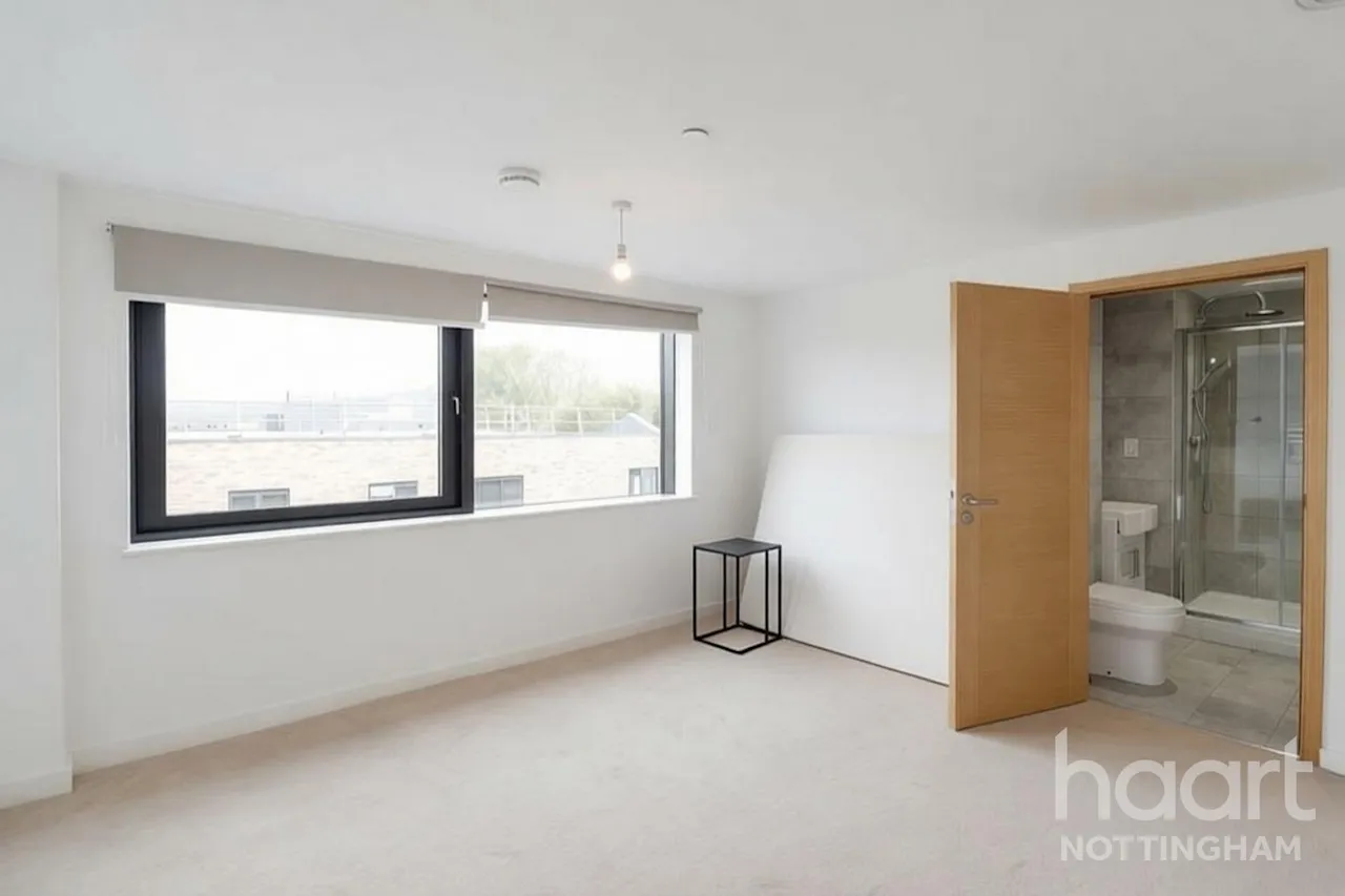 Trent Lane, Nottingham, NG2, photo 19