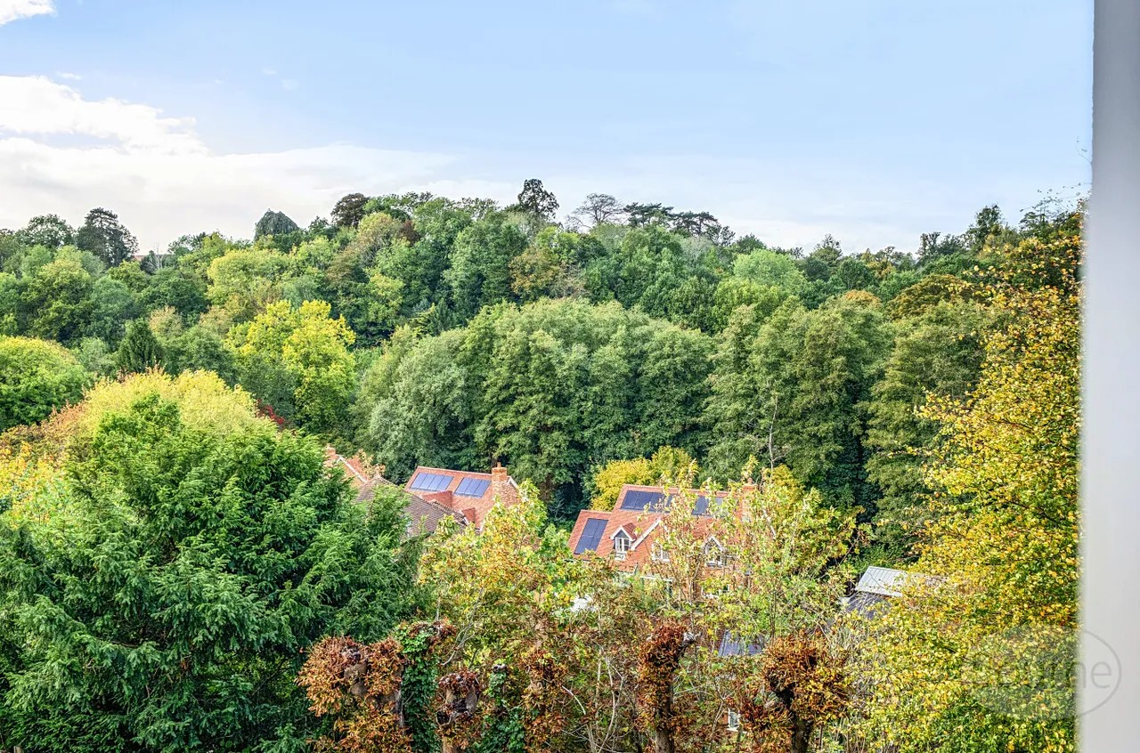 Valley View, Godalming, GU7, photo 22
