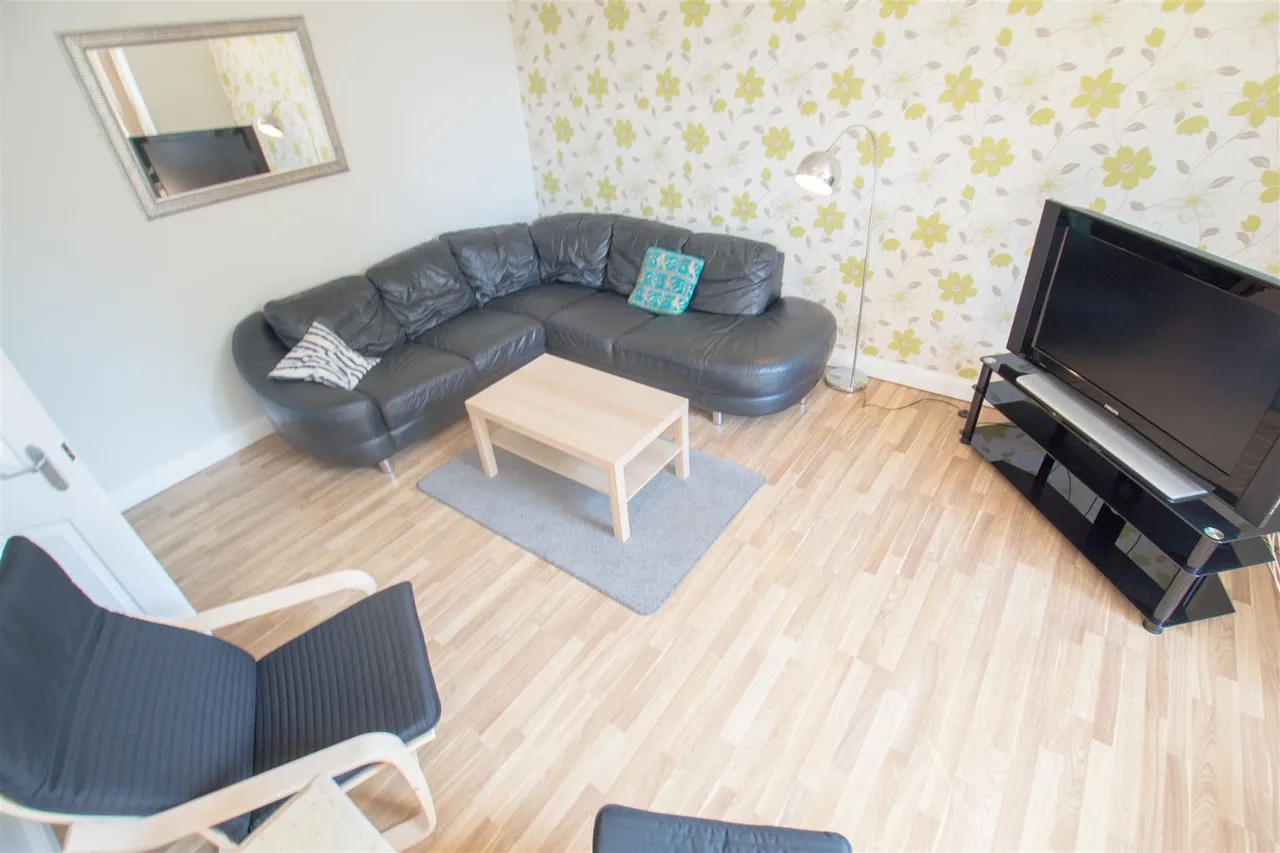 Ash Grove, Hyde Park, LS6, photo 5