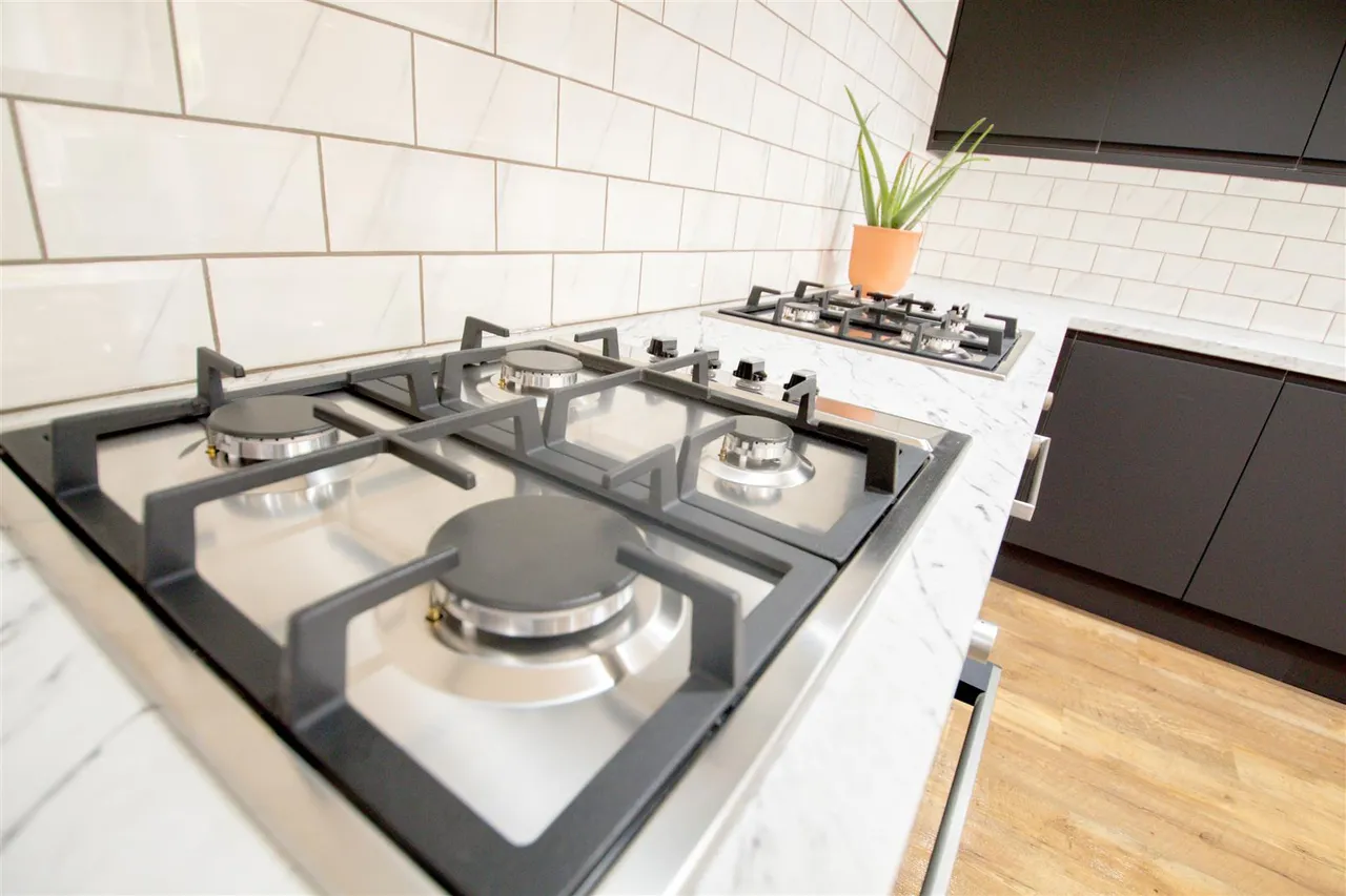 Ash Grove, Hyde Park, LS6, photo 4