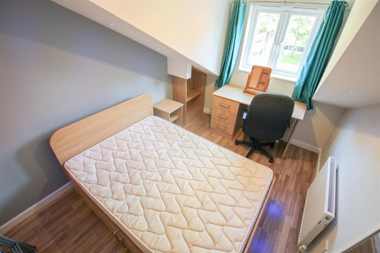 Ash Grove, Hyde Park, LS6, photo 8