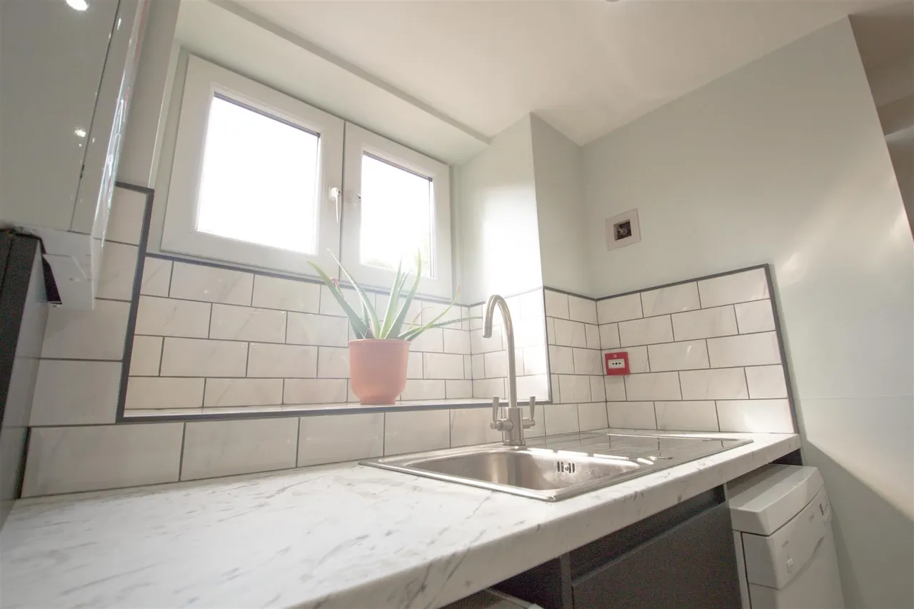 Ash Grove, Hyde Park, LS6, photo 3