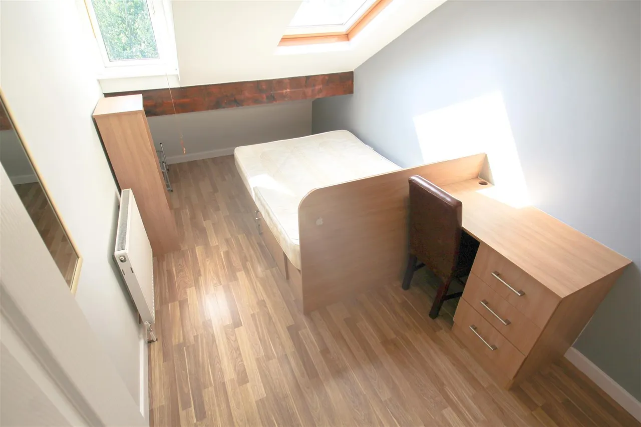Ash Grove, Hyde Park, LS6, photo 12