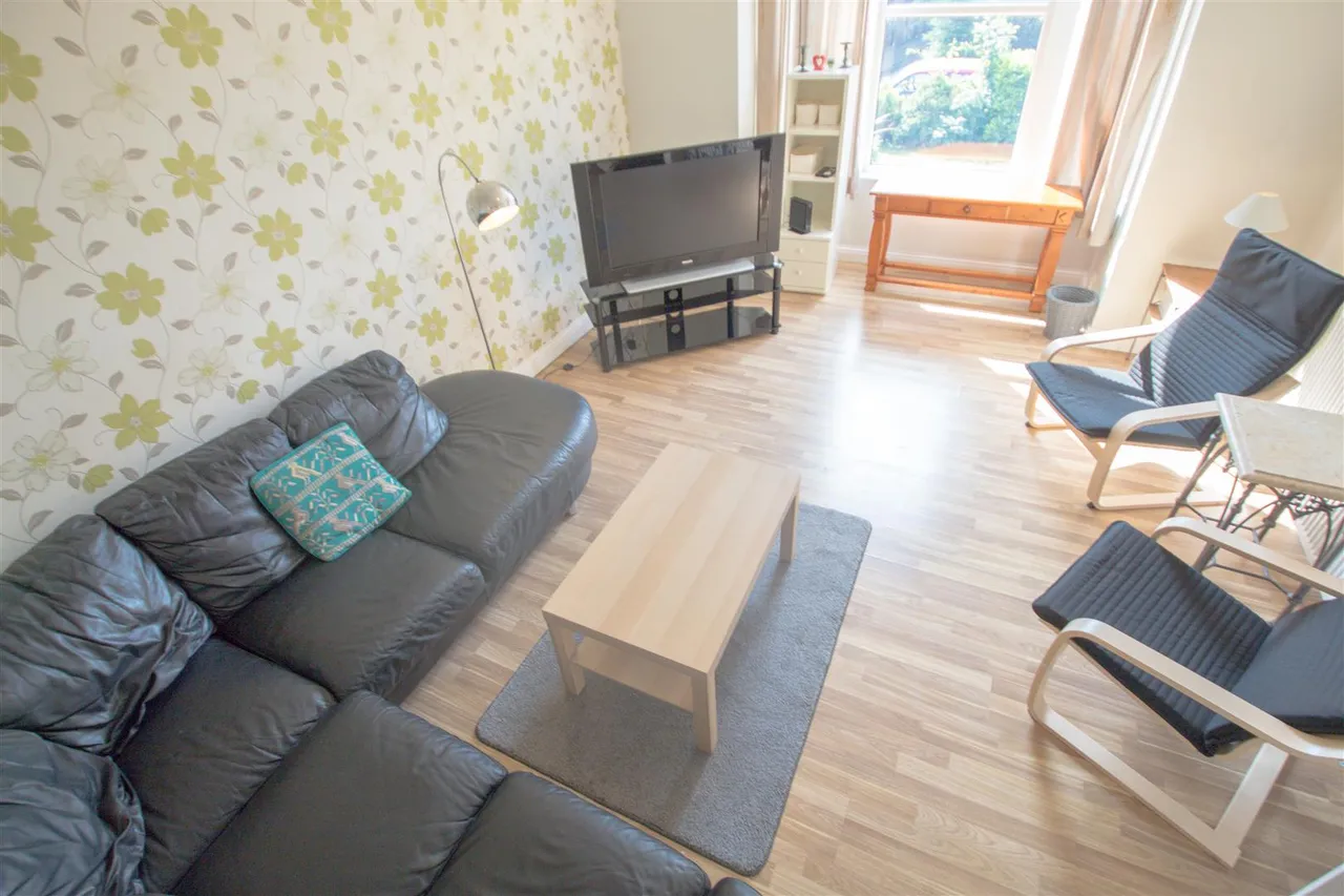 Ash Grove, Hyde Park, LS6, photo 6