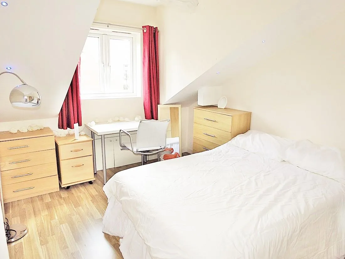 Ash Grove, Hyde Park, LS6, photo 13