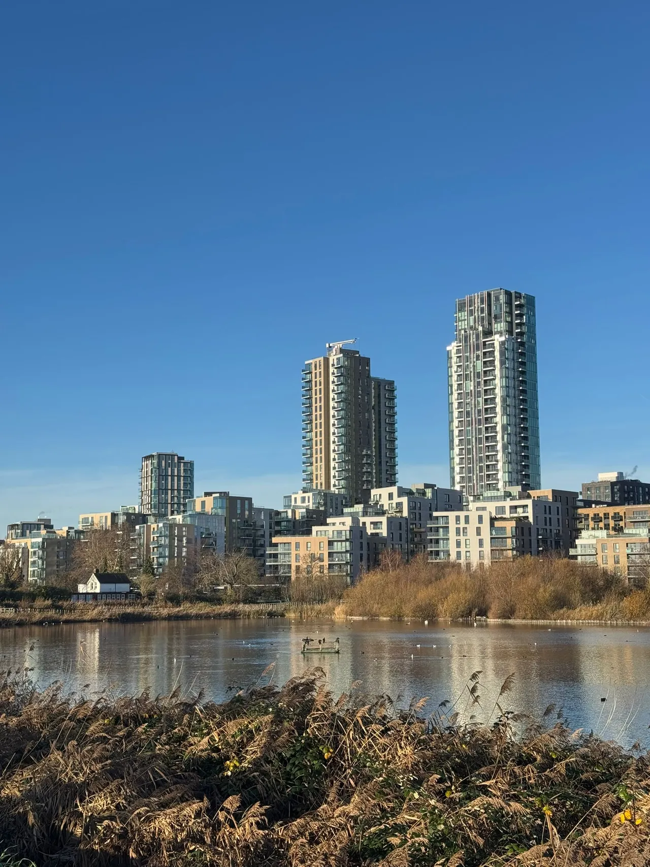 49 Skyline Apartments, Devan Grove, London, photo 7