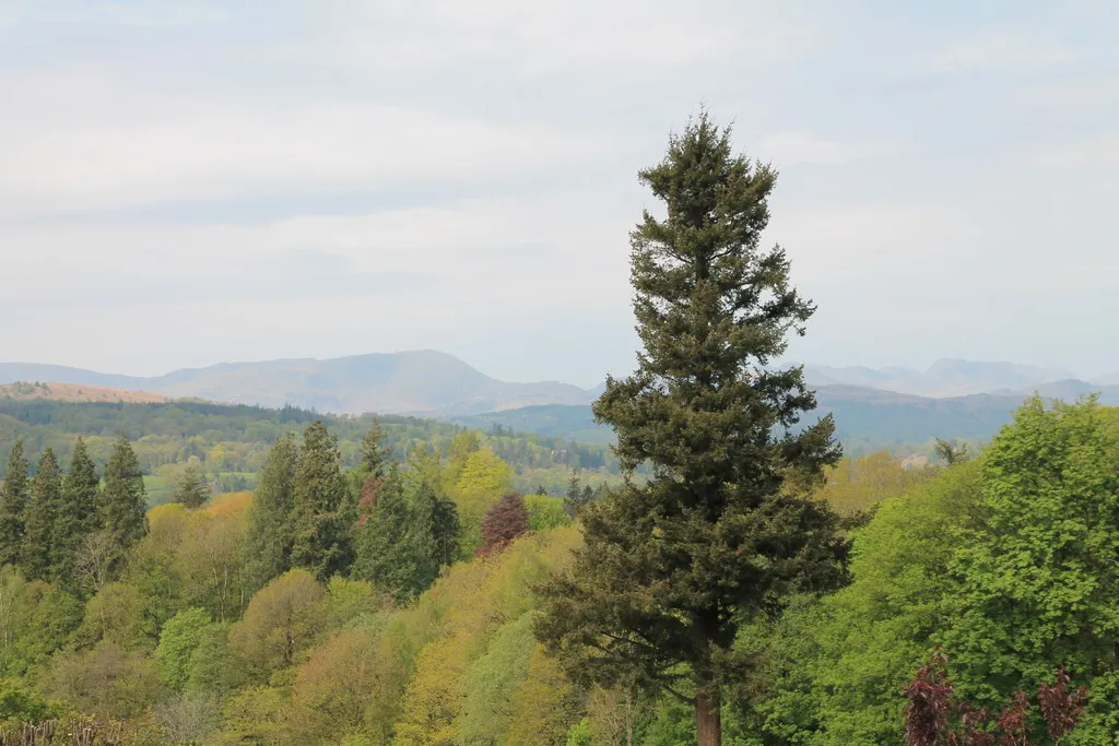 Rayrigg Road, photo 4