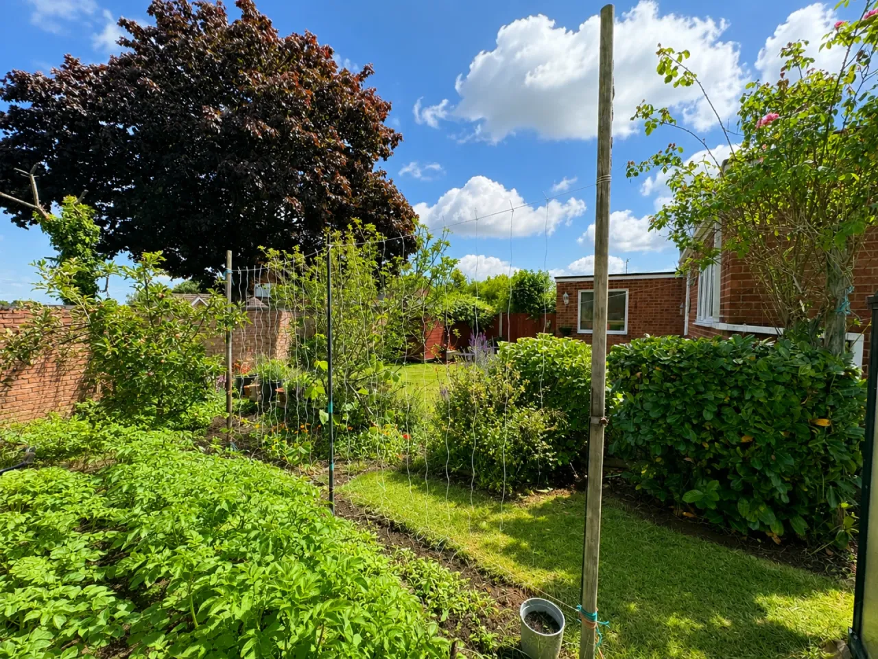 Stobart Close, Beccles, photo 22