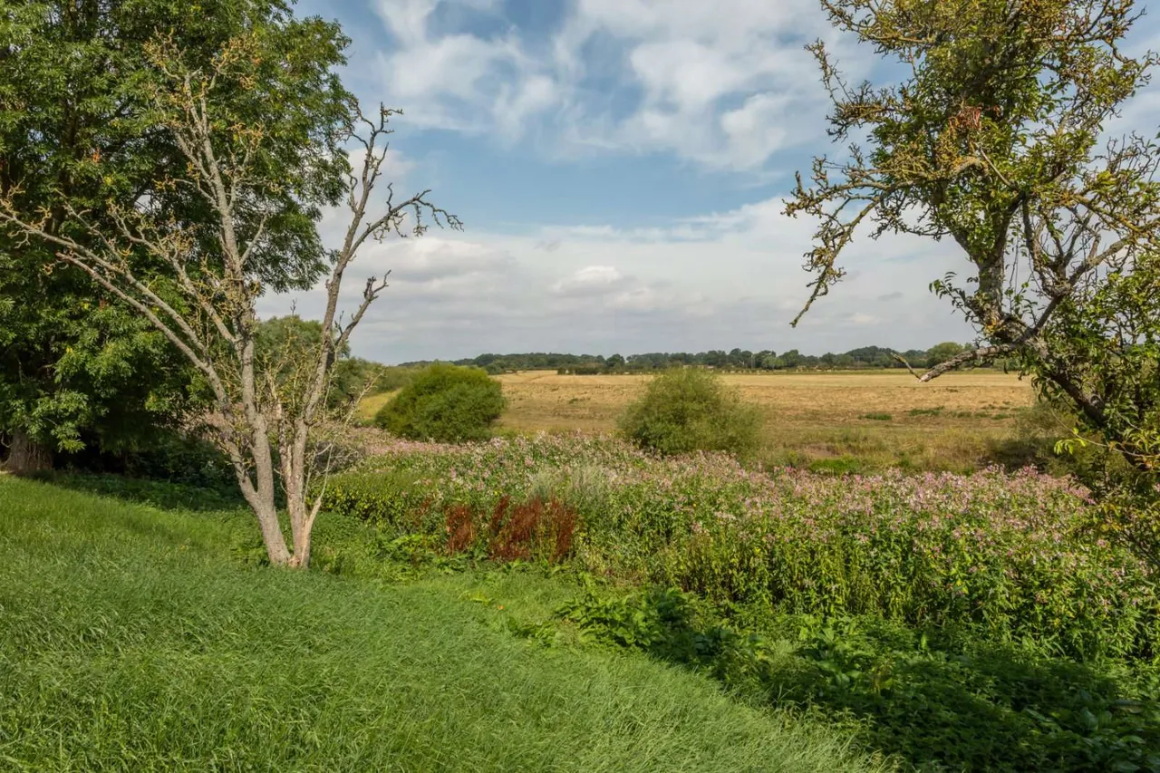 Ozendyke Manor, Ozendyke, Tadcaster, North Yorkshire, LS24 9DZ, photo 3
